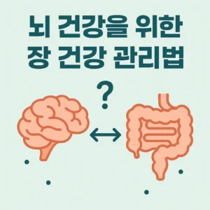뇌 건강을 위한 장 건강 관리법 – 뇌와 장이 화살표로 연결된 인포그래픽