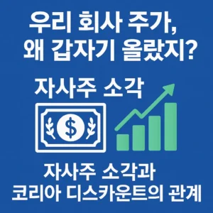 자사주 소각과 코리아 디스카운트의 관계 – 우리 회사 주가가 갑자기 오른 이유를 설명하는 인포그래픽