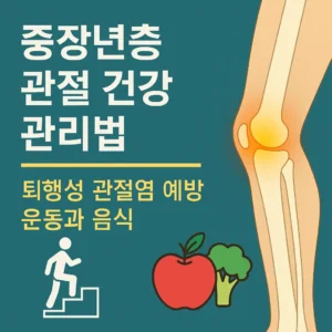 중장년층 관절 건강 관리법을 주제로 한 썸네일 이미지. 상단에는 '중장년층 관절 건강 관리법'이라는 큰 글씨와 '퇴행성 관절염 예방 운동과 음식'이라는 보조 문구가 있으며, 오른쪽에는 무릎 관절 일러스트, 하단에는 사과와 브로콜리, 운동 아이콘이 배치되어 있음