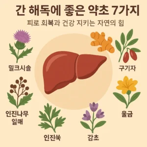 간 해독에 좋은 약초 7가지 – 밀크시슬, 강황, 구기자 등 건강 회복에 도움을 주는 자연의 힘을 담은 이미지
