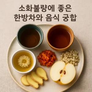 소화불량에 좋은 한방차와 음식 궁합 썸네일 이미지