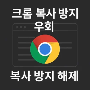 크롬 브라우저 복사 방지 우회 주제를 표현한 정사각형 디자인 썸네일 이미지. 중앙의 크롬 로고와 함께 ‘크롬 복사 방지 우회’, ‘복사 방지 해제’ 문구가 배치된 기술적 느낌의 그래픽.