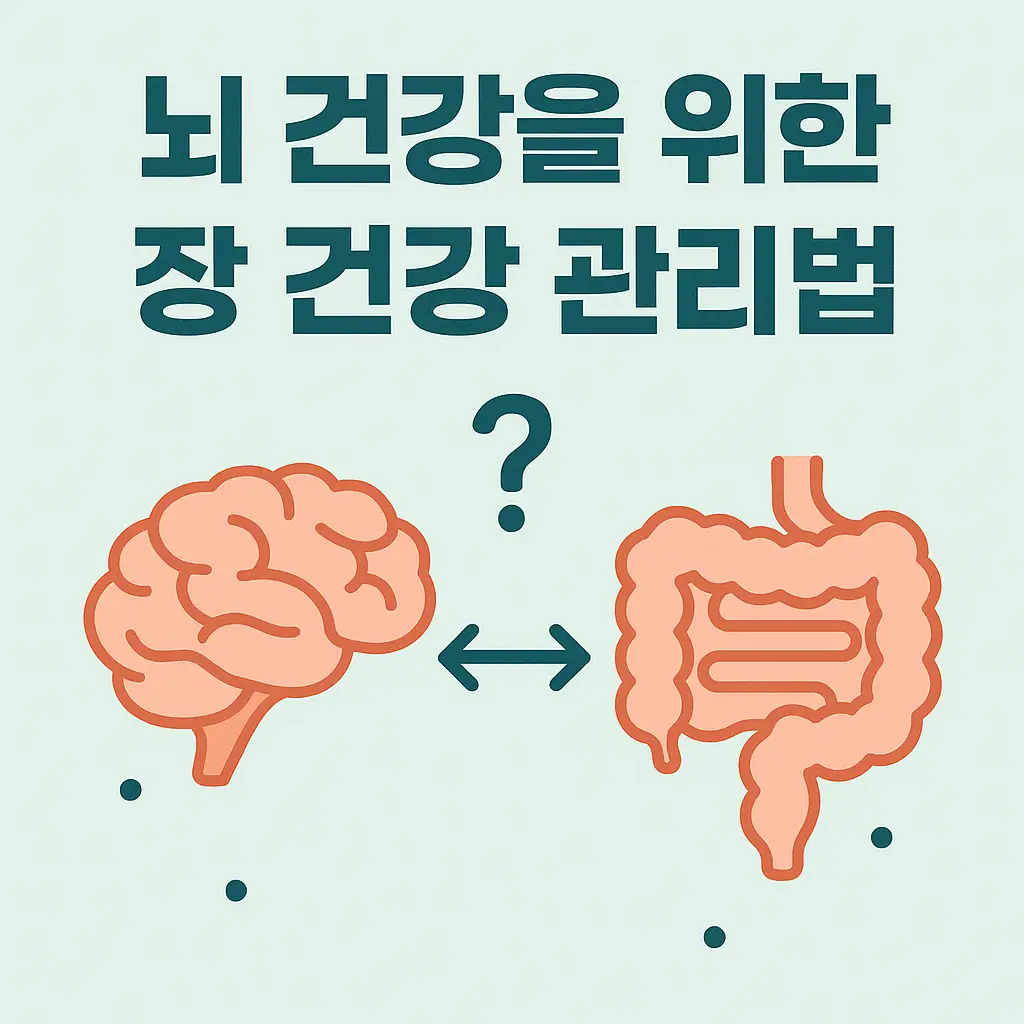 뇌 건강을 위한 장 건강 관리법 – 뇌와 장이 화살표로 연결된 인포그래픽