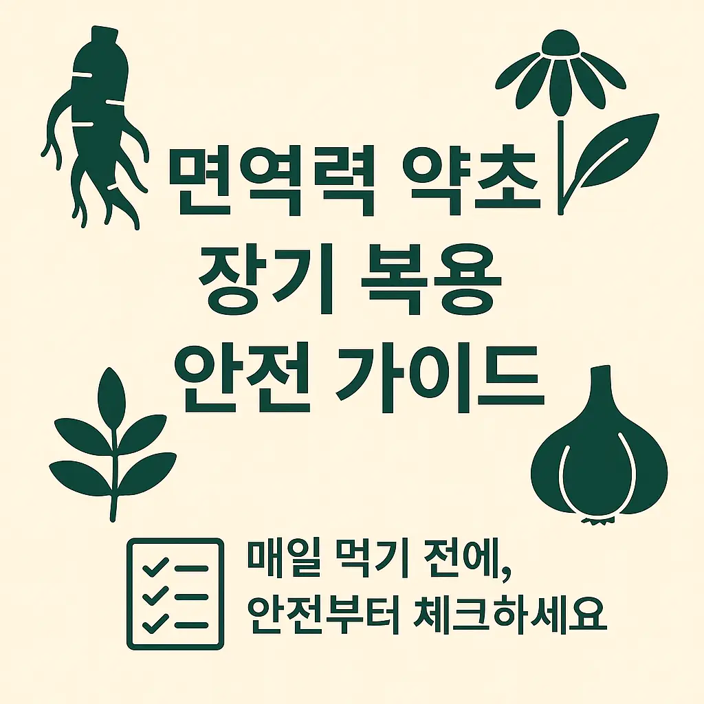 면역력 약초 장기 복용 안전 가이드 – 인삼, 에키네시아, 황기, 마늘 일러스트와 체크리스트가 포함된 건강 정보 썸네일